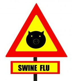 What is Swine Flu?